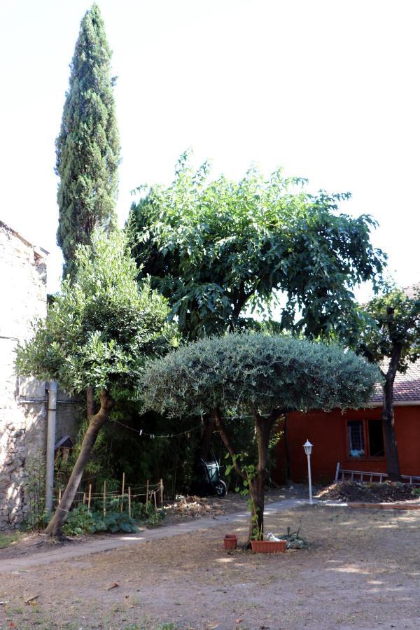 La Maison Du Soleil Vauvert Kültér fotó